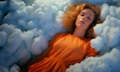nimbus cloud travel pillow