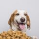 posh nosh dog food