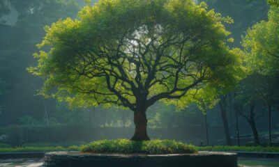 health threetrees com vn