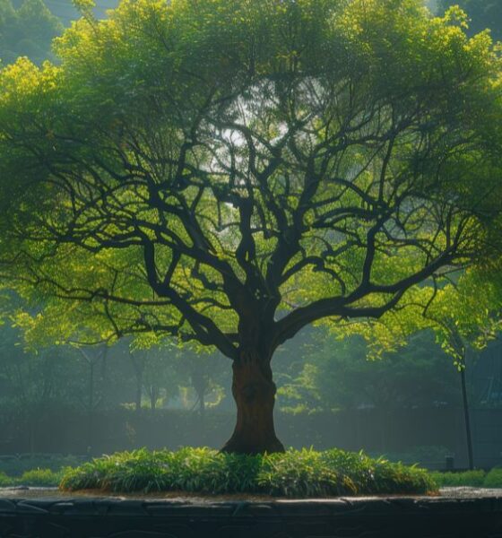 health threetrees com vn